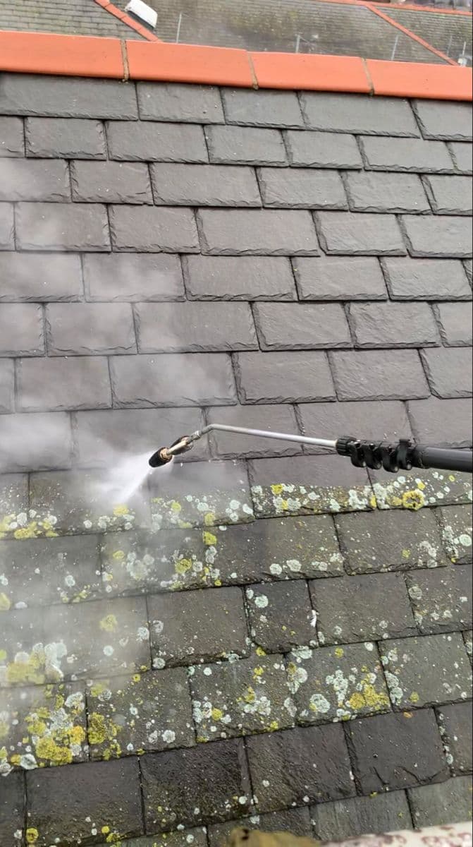 Roof & Gutter Cleaning & Moss Removal photo 2 Dublin - EcoFort Roofing